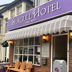 Seagull Blackpool
